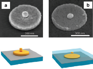 The composite nanostructures