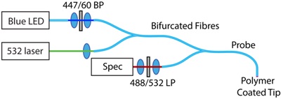 Peroxide and pH probe