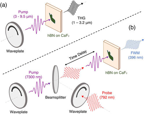 Setup for two experiments demonstrating phonon-enhanced nonlinearity in hB. Click for info.