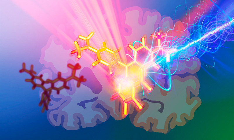 New photoacoustic probes let scientists explore deeper into the brain.