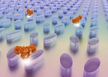 Label-free biosensing via metasurface