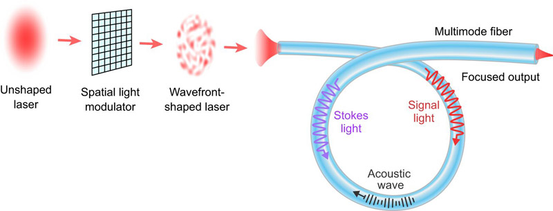 A narrowband laser beam shaped by a spatial light modulator excites many modes in a multimode fiber.