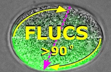 Move along: light induces movement of proteins