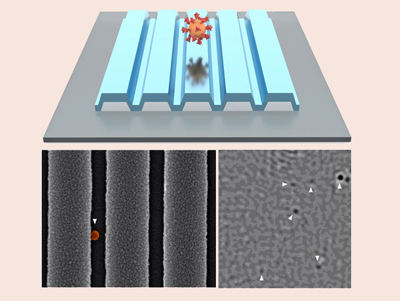 PRISM for Covid-19 detection. Click for info.