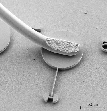 Microcavity laser