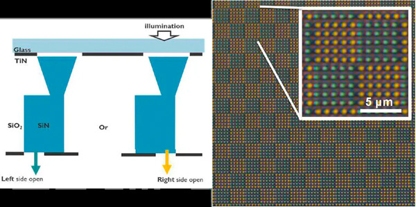 Operating principle (L) and an array of the new waveguides (R). Click for info.