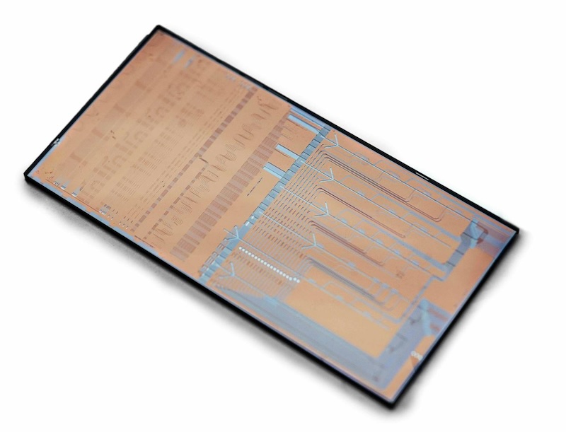 Blood work: on-chip analysis