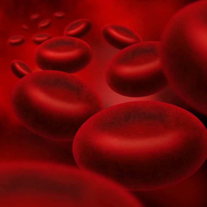 Blood cells