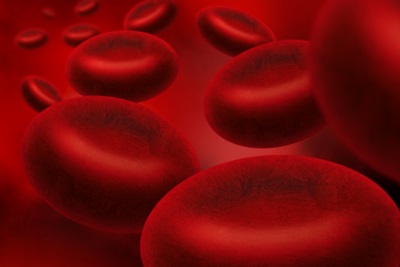 Blood cells