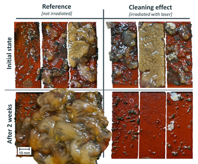 Compare and contrast: samples irradiated with the laser (R) – and not (L).