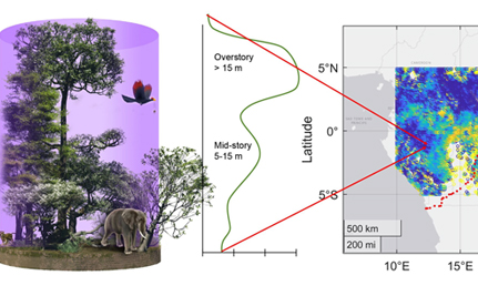 Graph depicting canopy information obtained from GEDI.