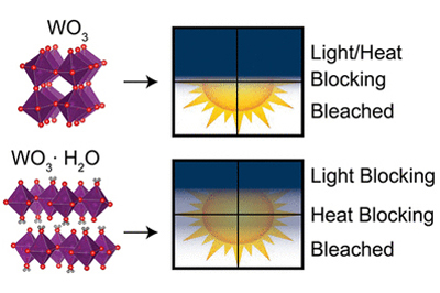 WO3·H2O exhibits dual-band electrochromism, unlike the anhydrous WO3.