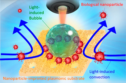 Optical condensation of protein-modified biological nanoparticles.