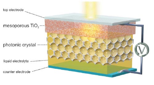 Photo of the solar cell electrode