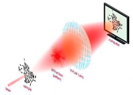 Live-cell imaging will expands Bruker’s cell analysis portfolio.