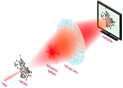 Live-cell imaging will expands Bruker’s cell analysis portfolio.