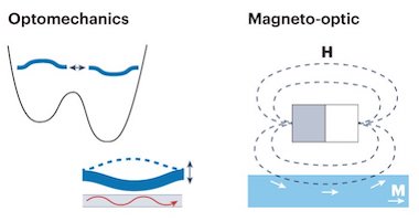 Brain power: optical circuitry