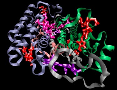 Algal proteins harvest light with efficiency