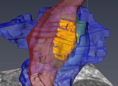 Identified and imaged: 3D synapses