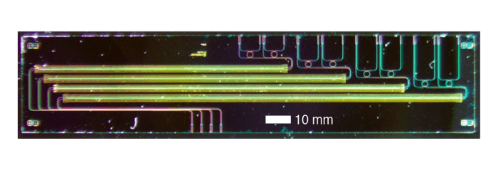 Micrograph of electro-optic isolator chip on thin-film lithium niobate.