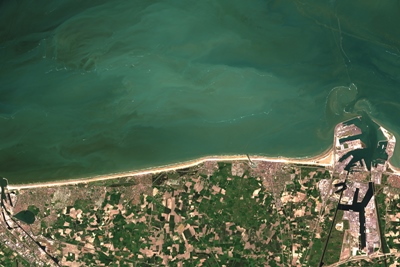 Algal bloom off the Belgian coast