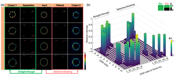 Performance of the system in straight-through and selective-blocking cases. Click for more.