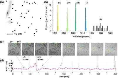 PEC etching method enables tuning of the output of microdisk lasers. Click for details.