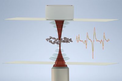 Light and sound: analyzing bacteria