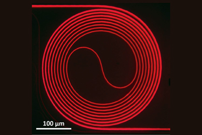 Image of the Ti:sapphire waveguide amplifier.