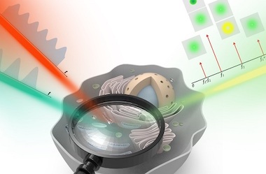 Lower noise for a clearer view: dmdSTED