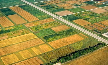 Overhead perspective: nitrogen data