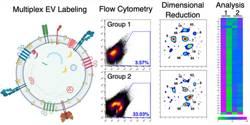 Extracellular vesicle fingerprinting technique. Click for info.